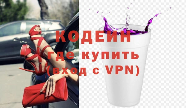 индика Балахна