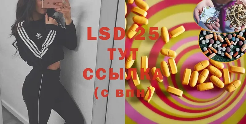 LSD-25 экстази ecstasy  где найти наркотики  Каменногорск 